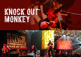 KNOCK OUT MONKEY